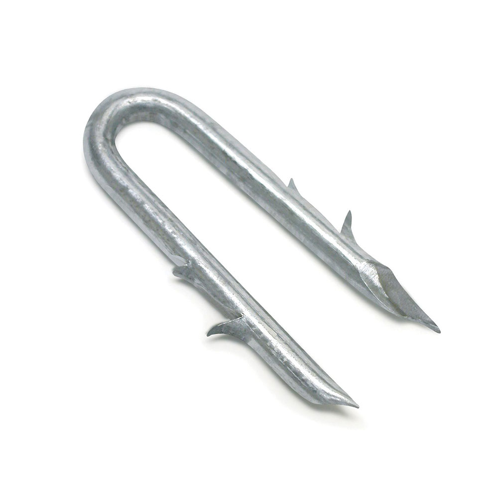 Easi-Fix Heavy Galvanised Barbed Staples 40MM 20KG