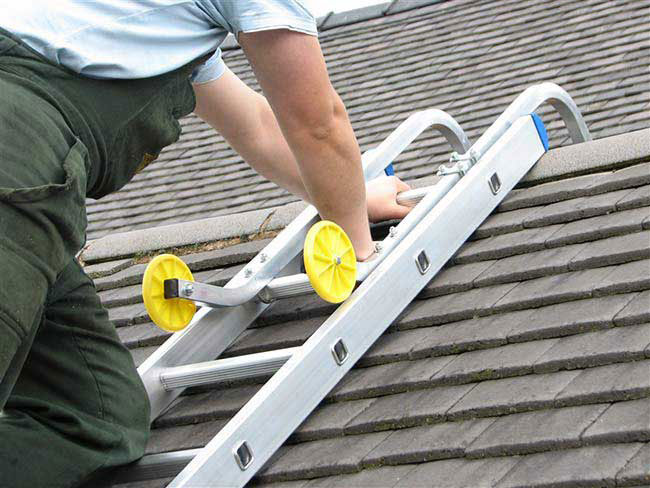 Universal Ladder Roof Hook (Trade & DIY)