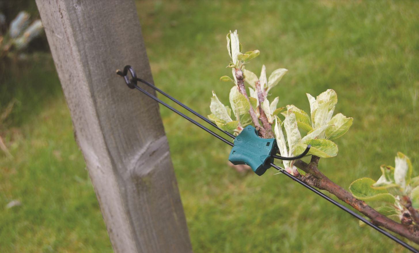 Gripple Trellis Tensioners (10 Pack)